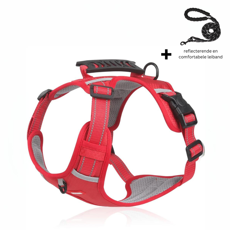 Reflective Stress- Relieving Harness