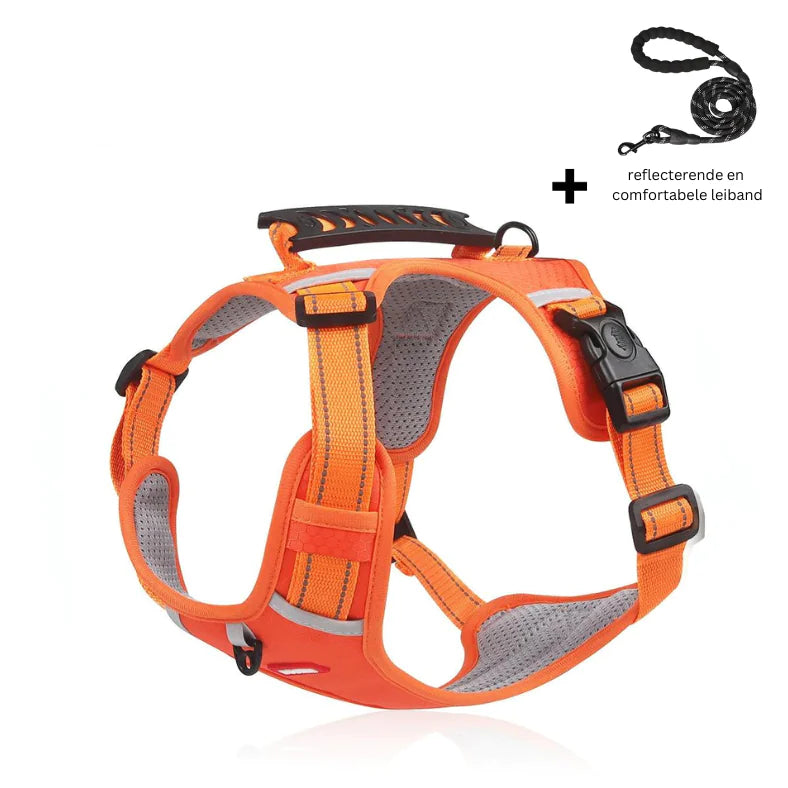 Reflective Stress- Relieving Harness